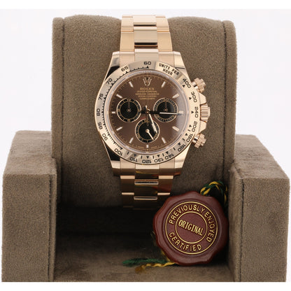 Rolex Daytona Everose Chocolate Dial Watch 126505