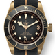 Tudor Black Bay Bronze 43mm Slate Dial M79250BA-0002 - Beverly Hills Watch Company