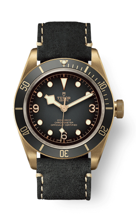 Tudor Black Bay Bronze 43mm Slate Dial M79250BA-0002 - Beverly Hills Watch Company