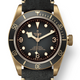 Tudor Black Bay Bronze 43mm Slate Dial M79250BA-0002 - Beverly Hills Watch Company