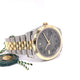 Rolex Datejust 41mm Wimbledon Dial Steel 18K Yellow Gold Jubilee 126333 - Beverly Hills Watch Company